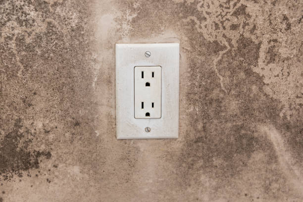 Best Mold Documentation for Insurance Claims  in St James, MN