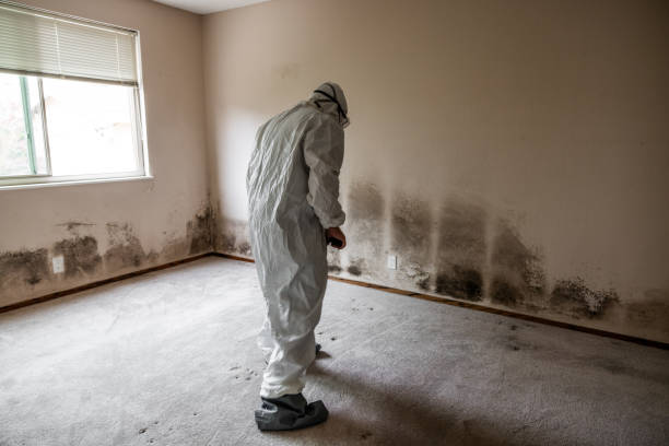 Best Residential Mold Inspection & Testing  in St James, MN